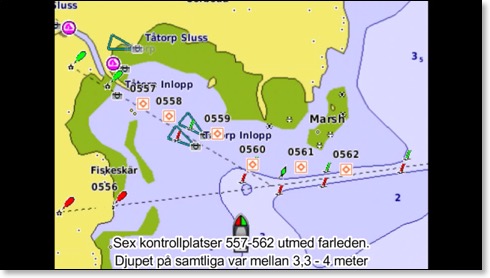 metsök maj 21still