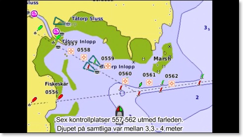 metsök maj 21still